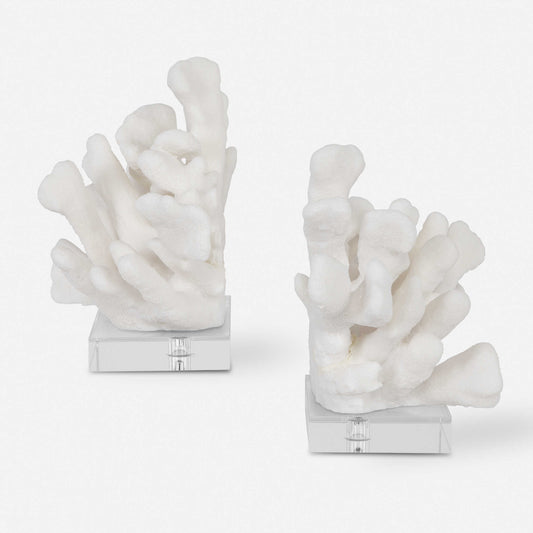 Coral bookends, S/2