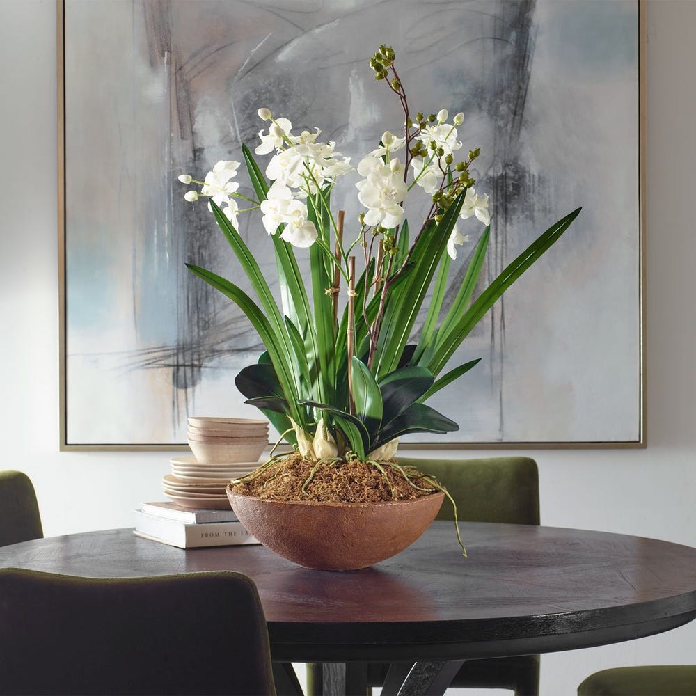 Roth Orchid Planter