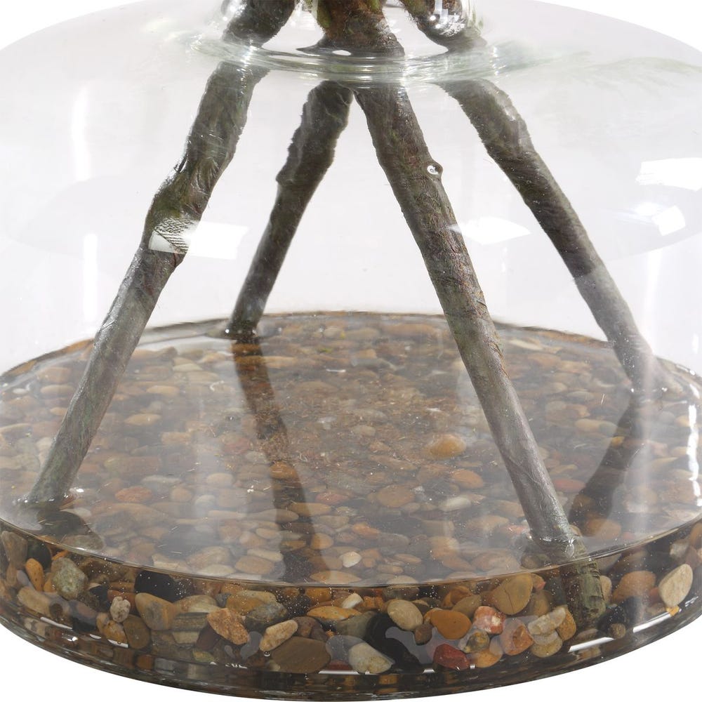 Fern serenity in glass