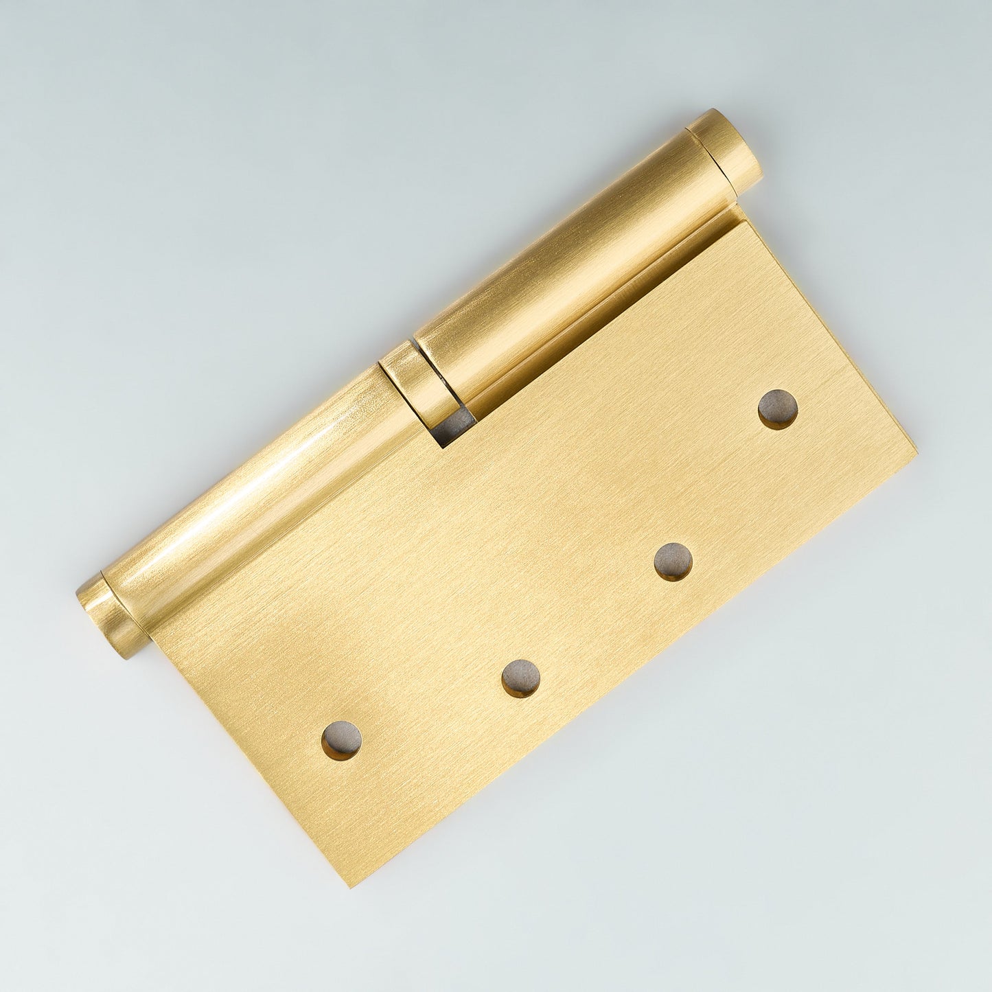 Apollo Lift-Off Door Hinge