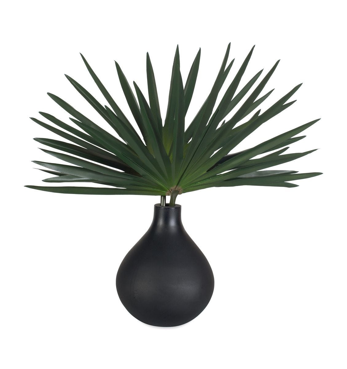 Axis Palm Accent