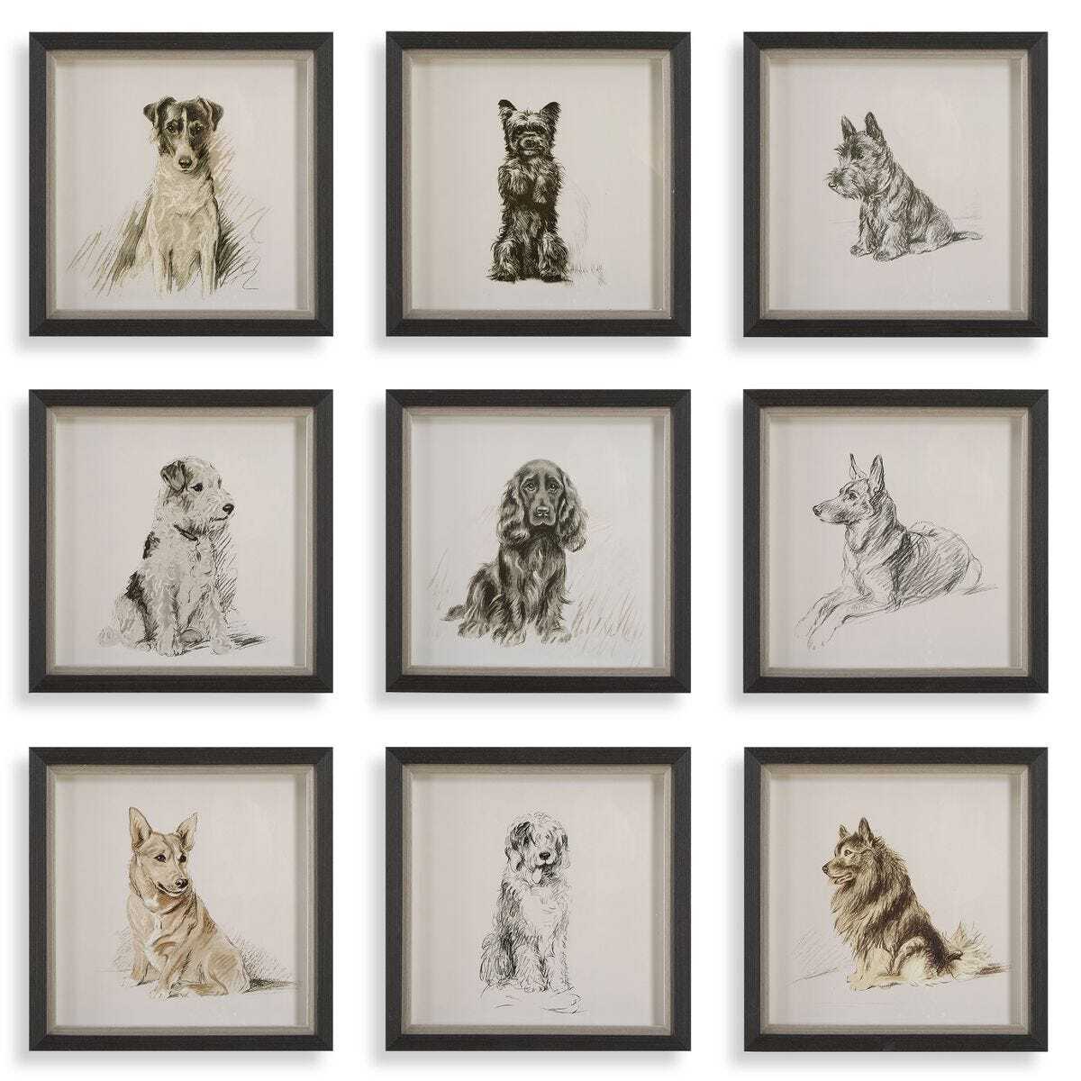 Set of framed black and white dog portraits on a white background