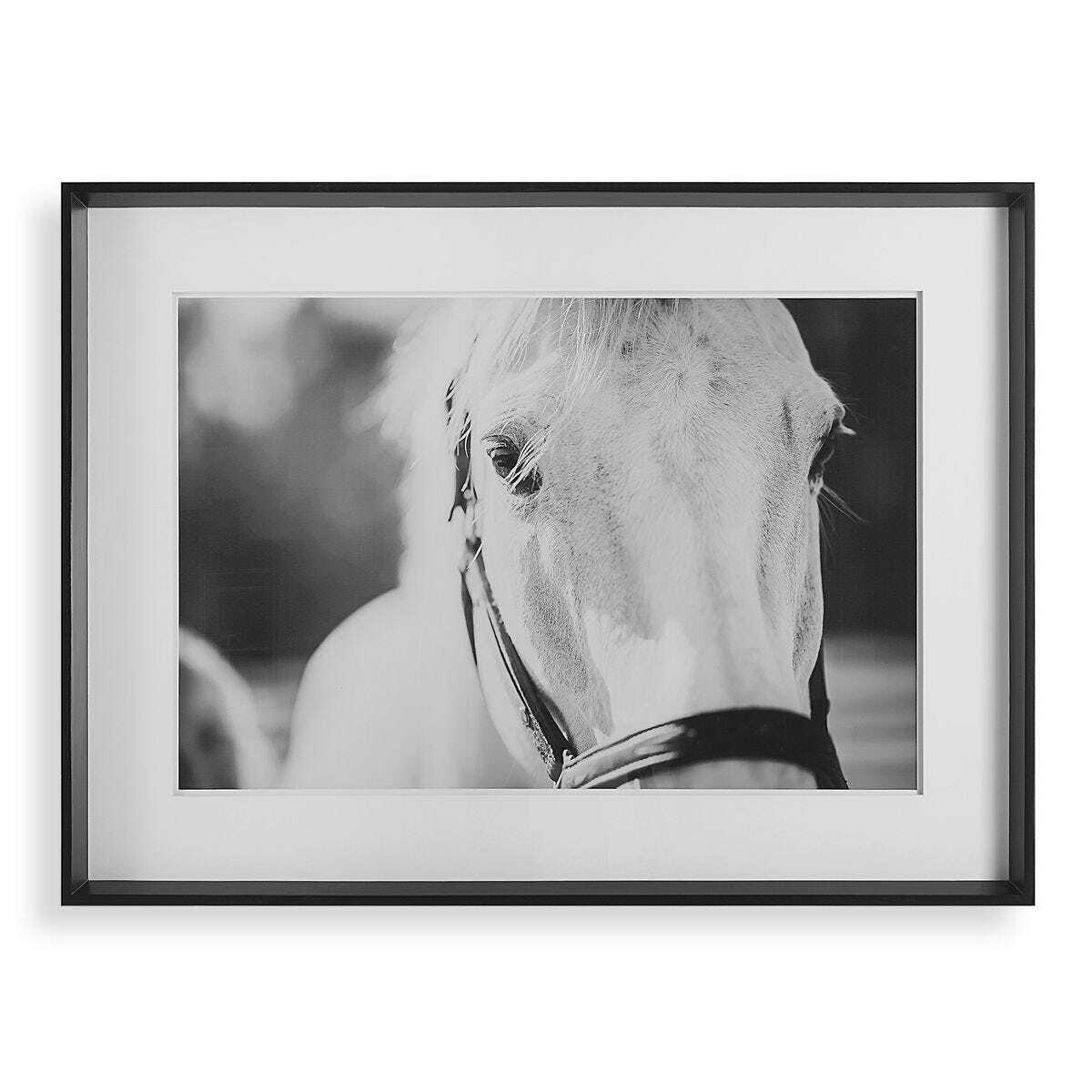Black And White Horse Wall Art