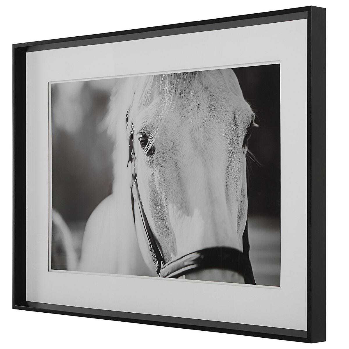 Black And White Horse Wall Art