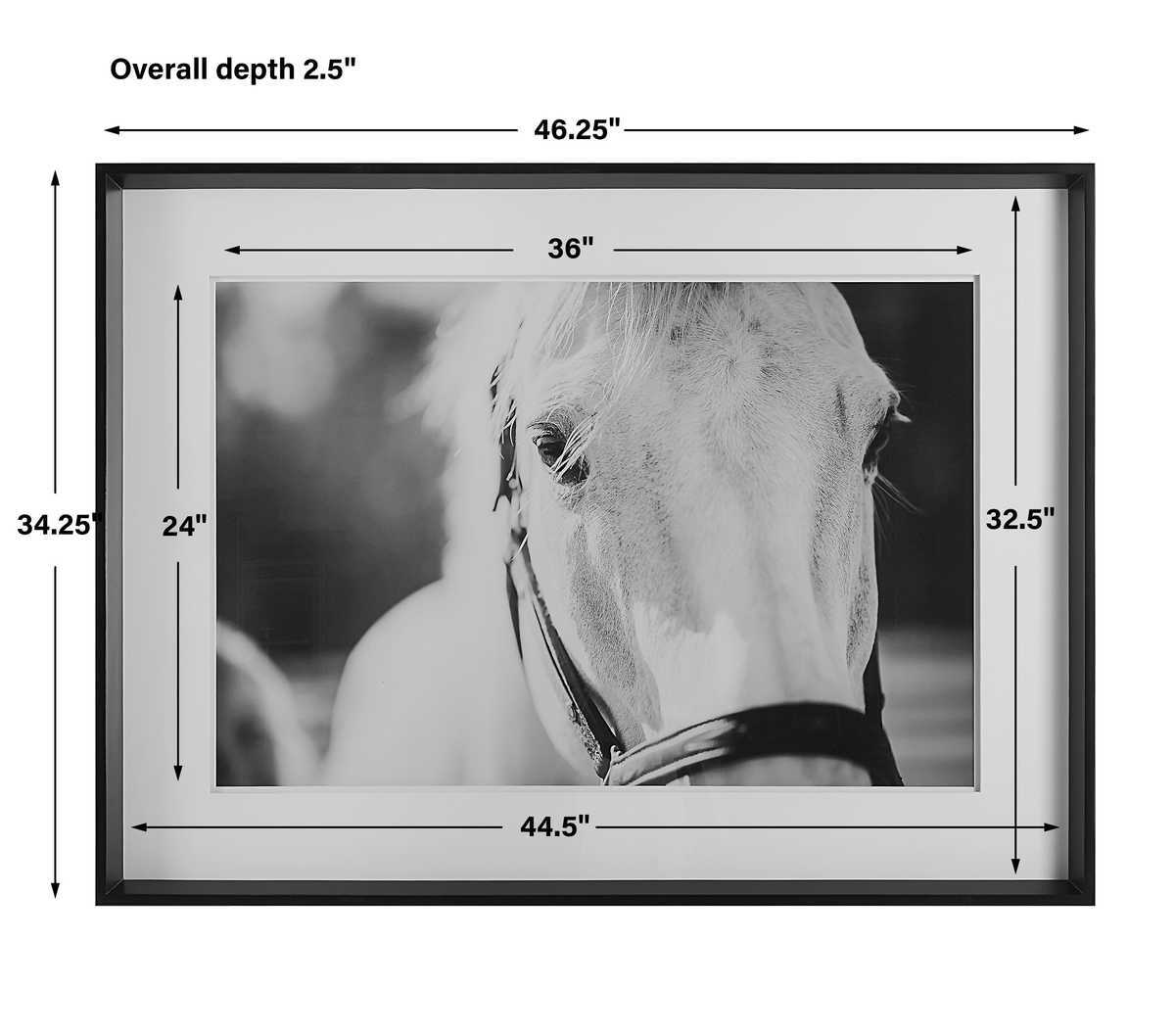 Black And White Horse Wall Art