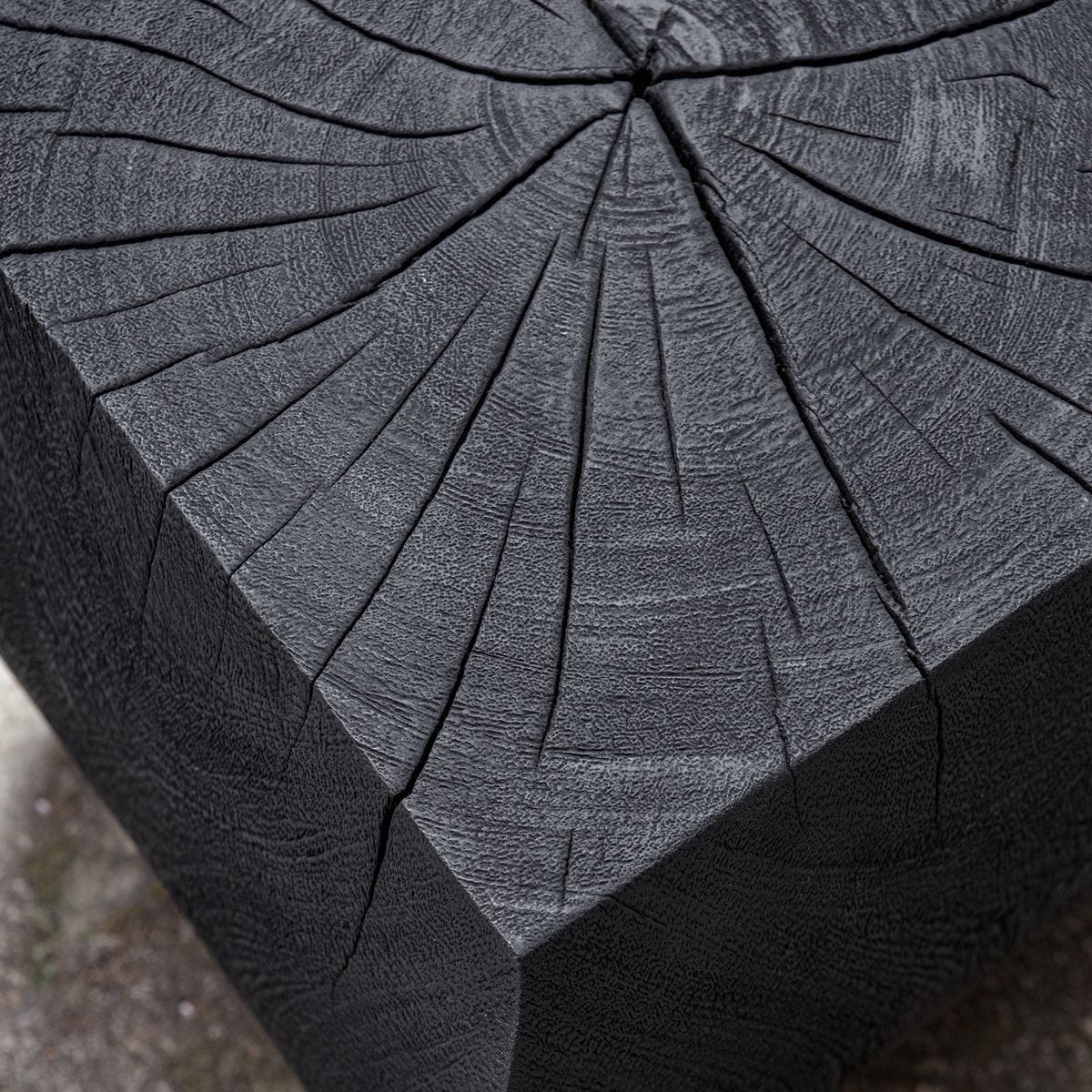 Close-up of a tree stump with concentric circular cuts