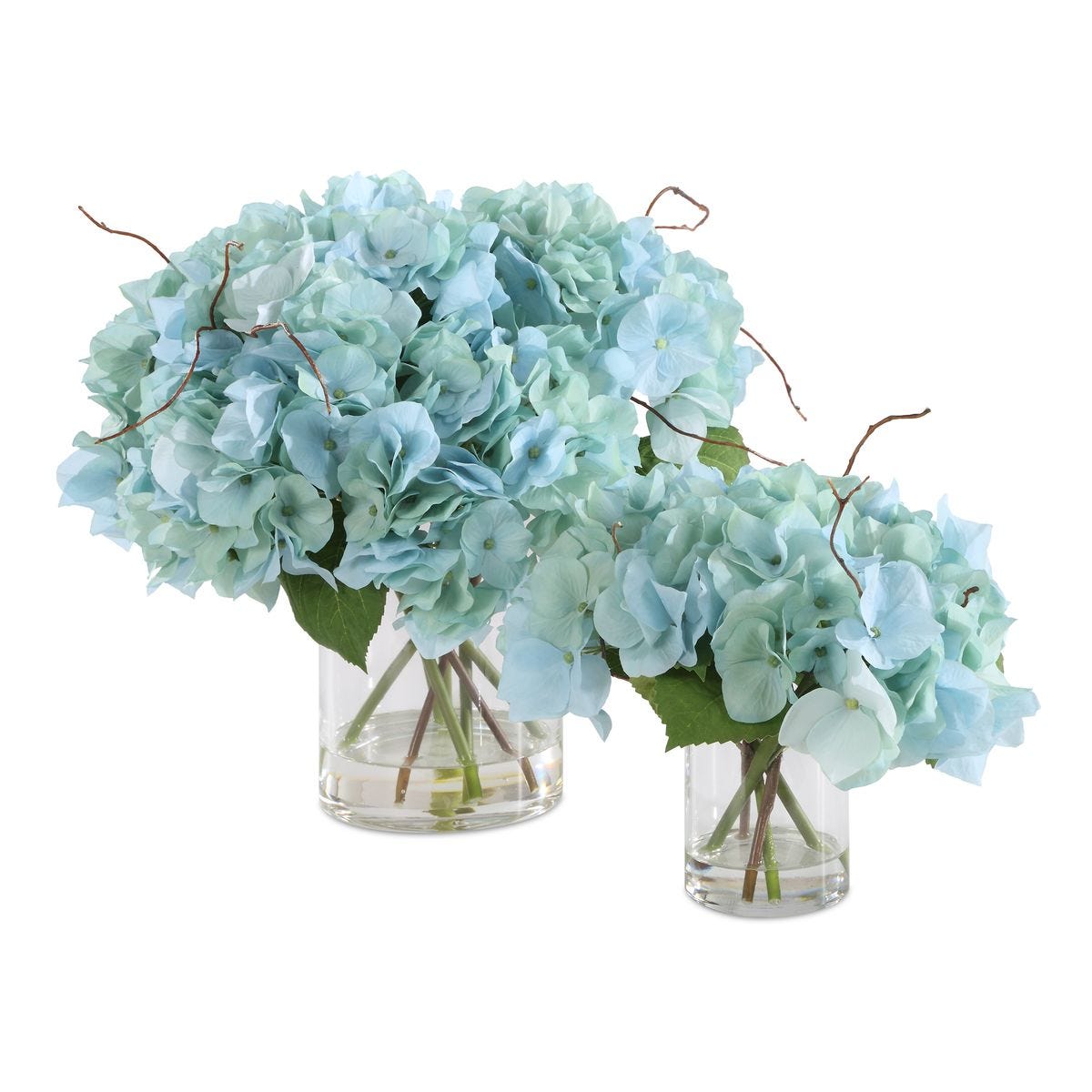 Two glass vases with light blue hydrangeas on a white background