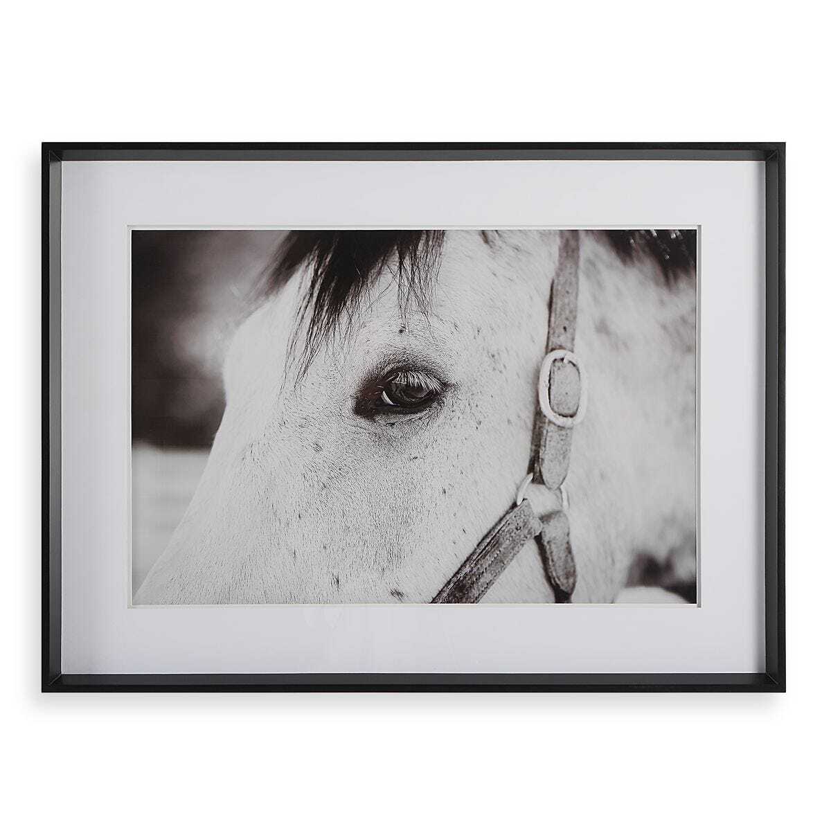 Framed Horse Wall Art