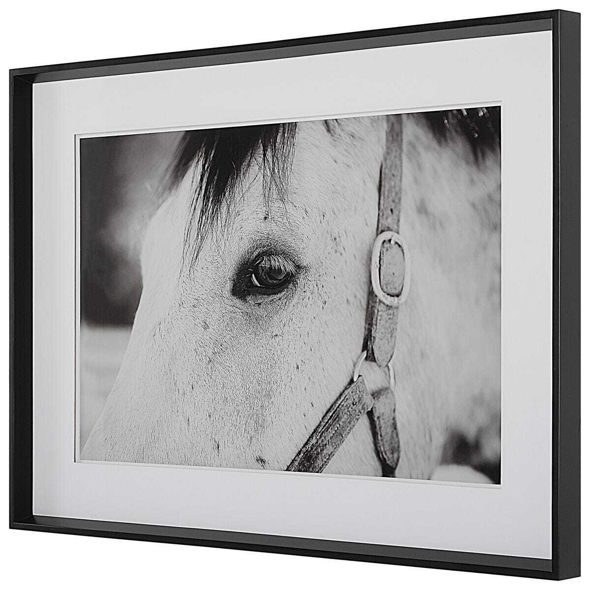 Framed Horse Wall Art