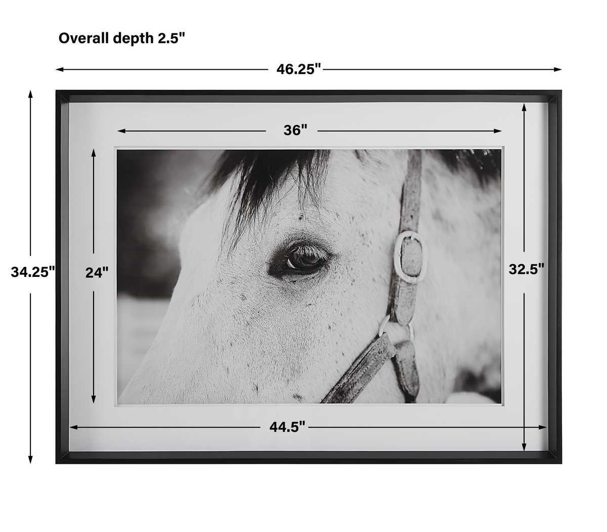 Framed Horse Wall Art