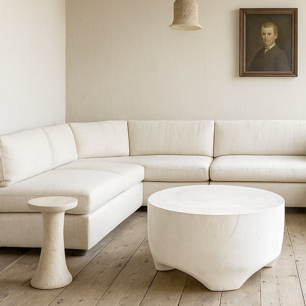 Modern white coffee table1.