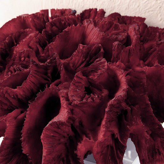Red coral statue in coastal white living room.