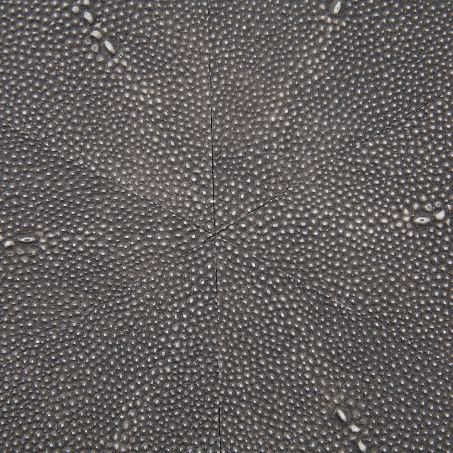 Shagreen nesting tables