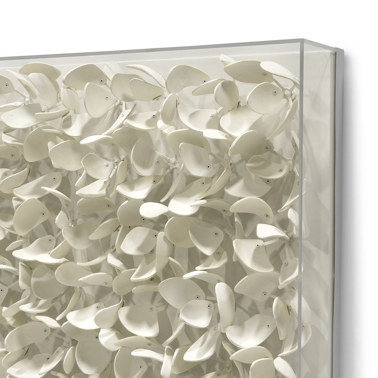 Coco wood petals