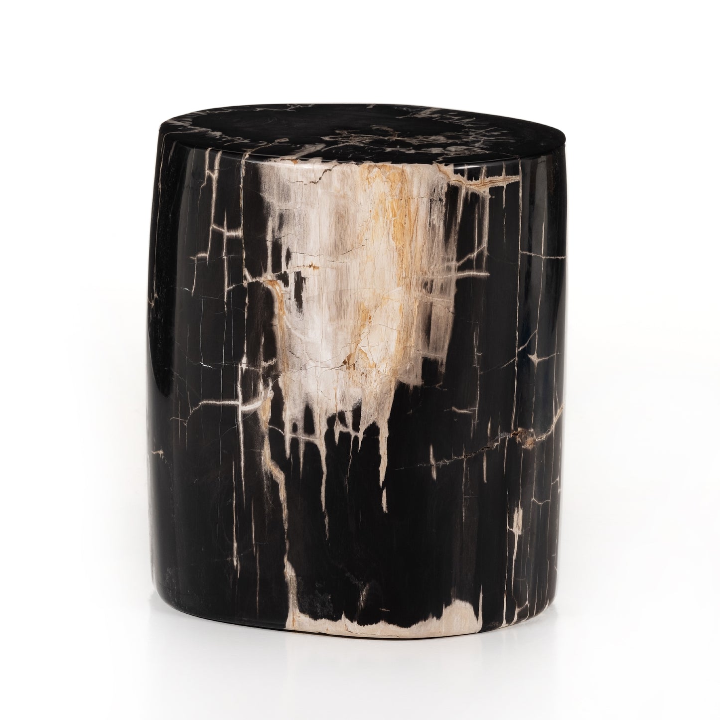 Dark petrified wood