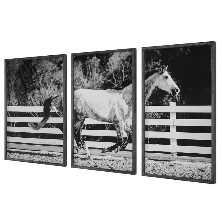 Modern Horse Art (set of 3) | Race Horses