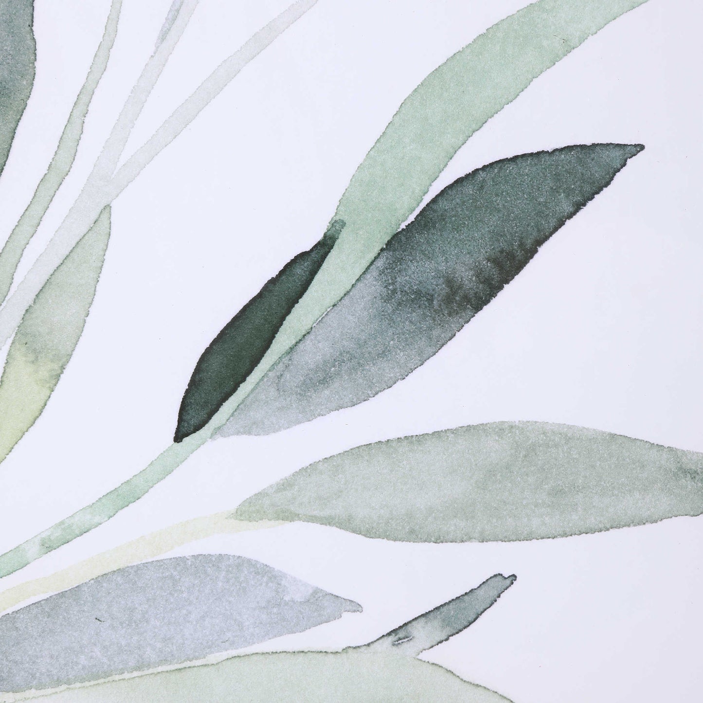 Macro shot of the leaves of the sage in green and blue watercolor.
