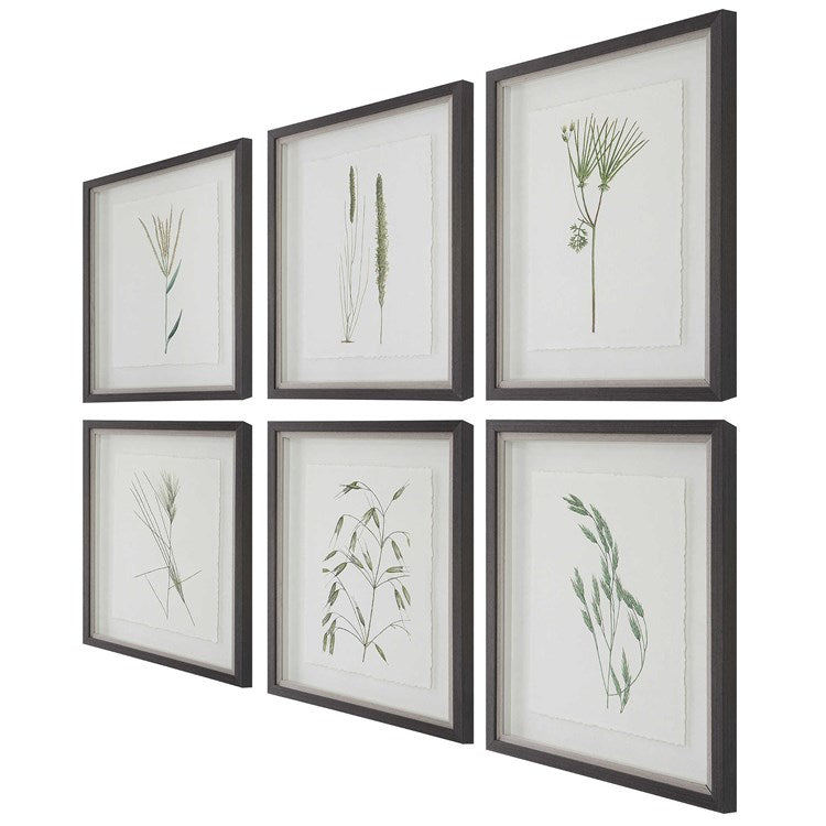 Forest Finds Framed Prints, S/6