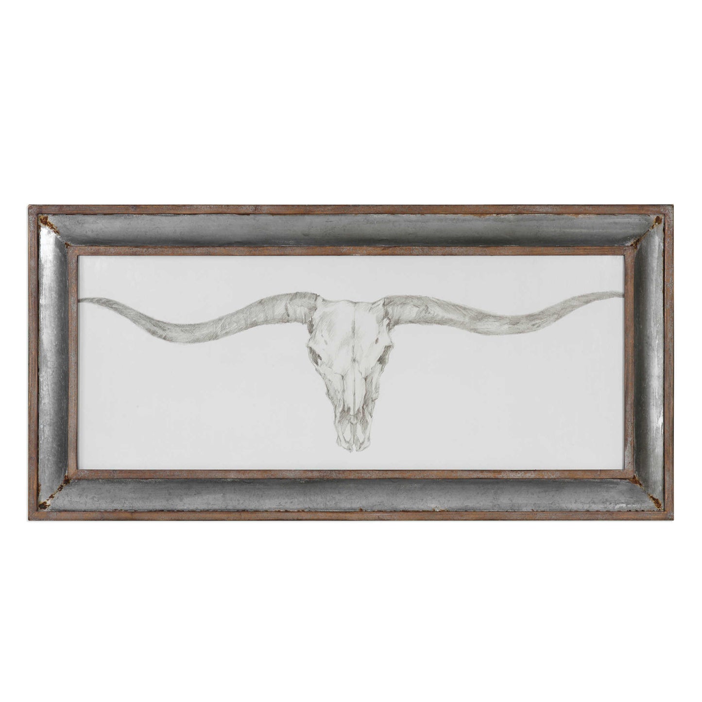 Long orn skull on white background.