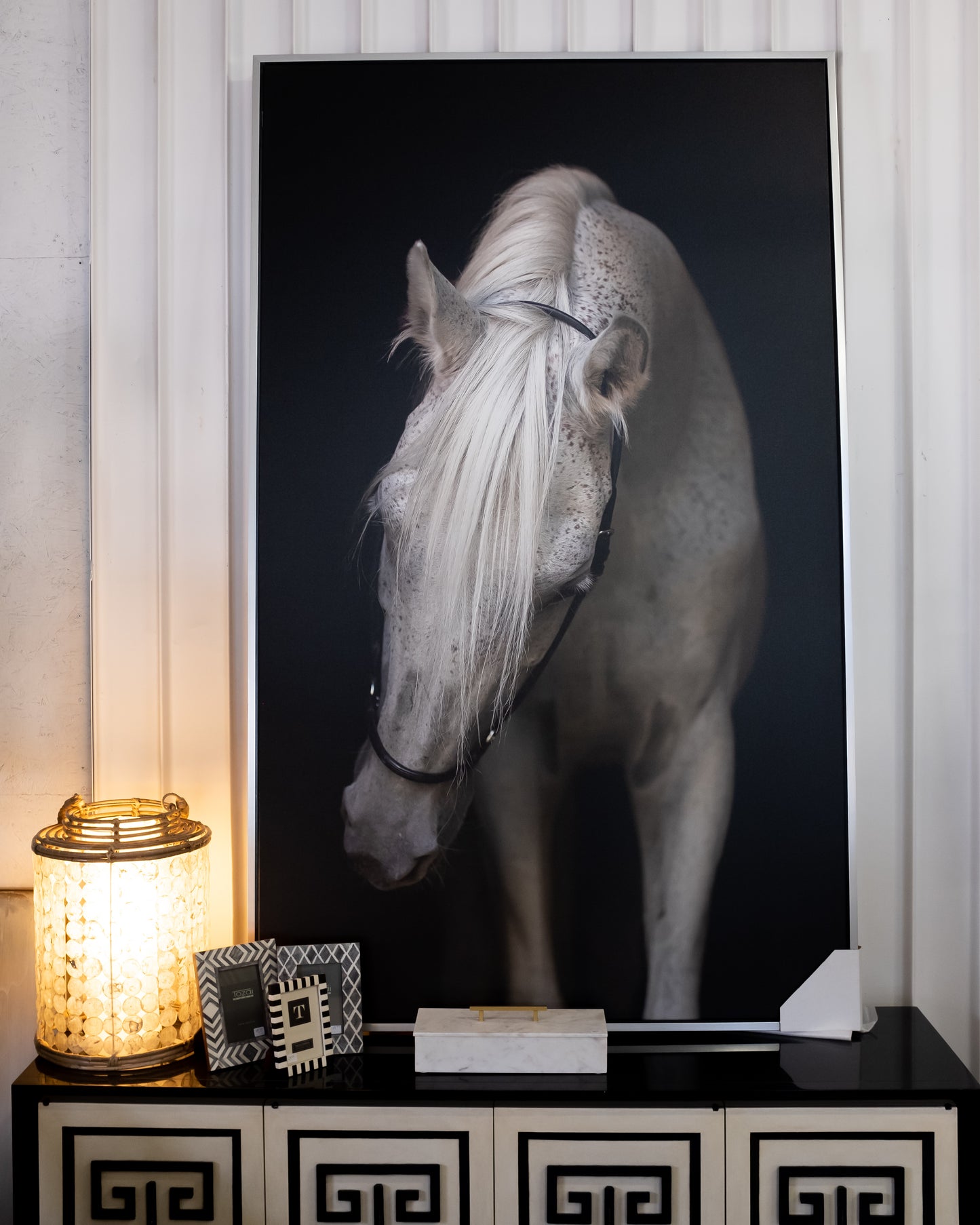 White horse up close