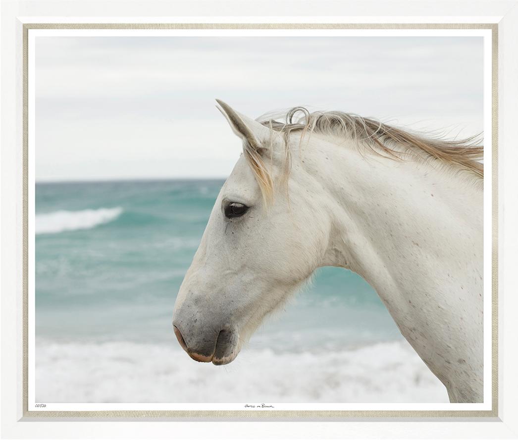Horse on beach
