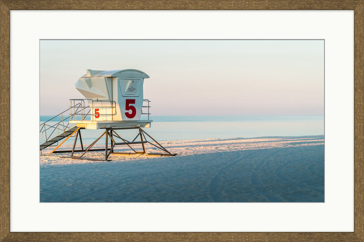 Lifeguard five
