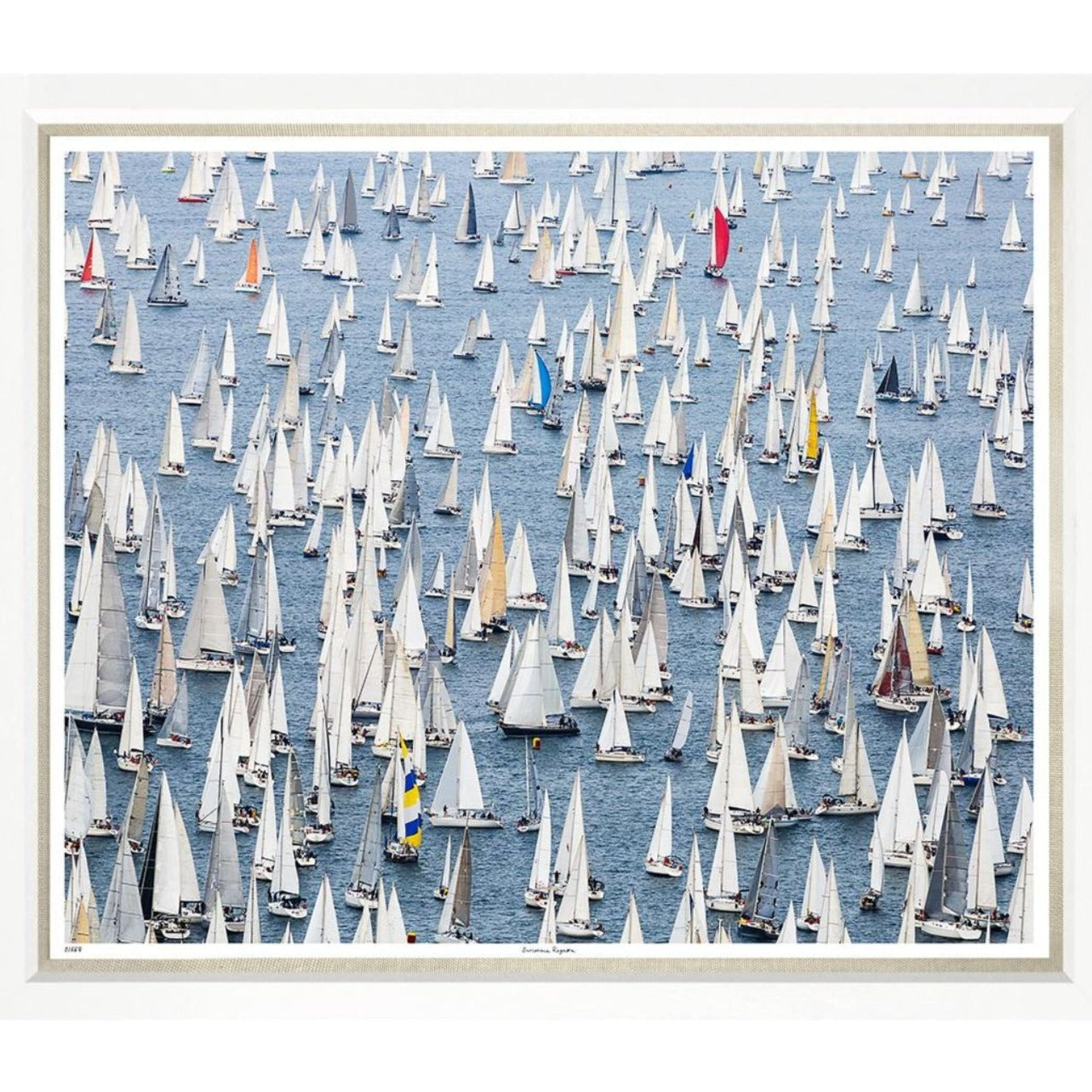 Regatta gala