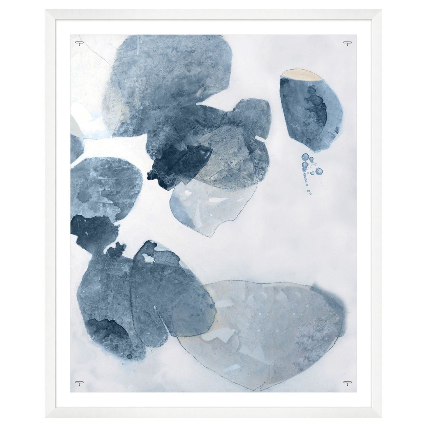 Lichens in sea