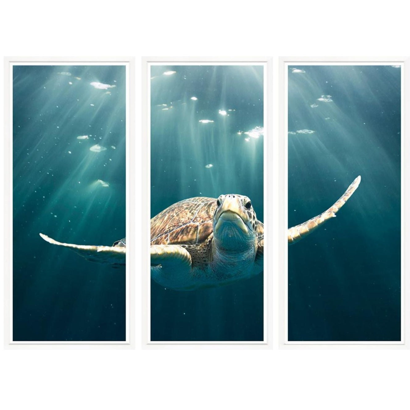 Flying under radar 67x50h