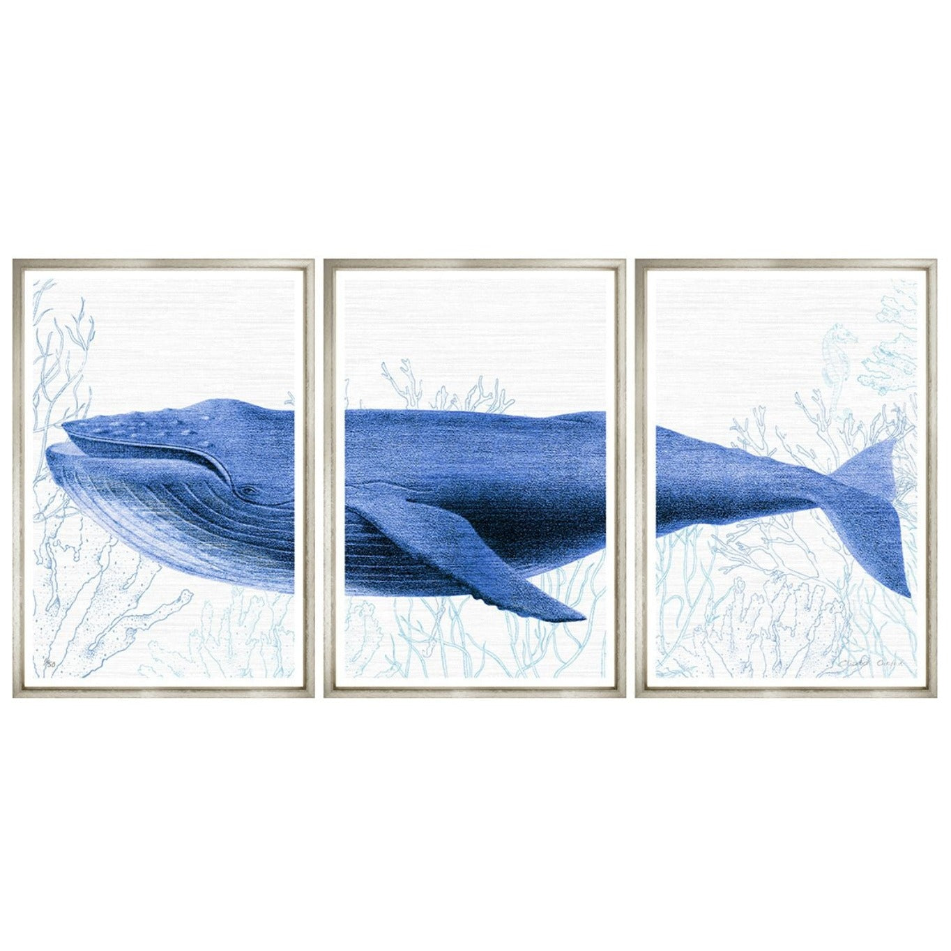 Big whale 102x50h