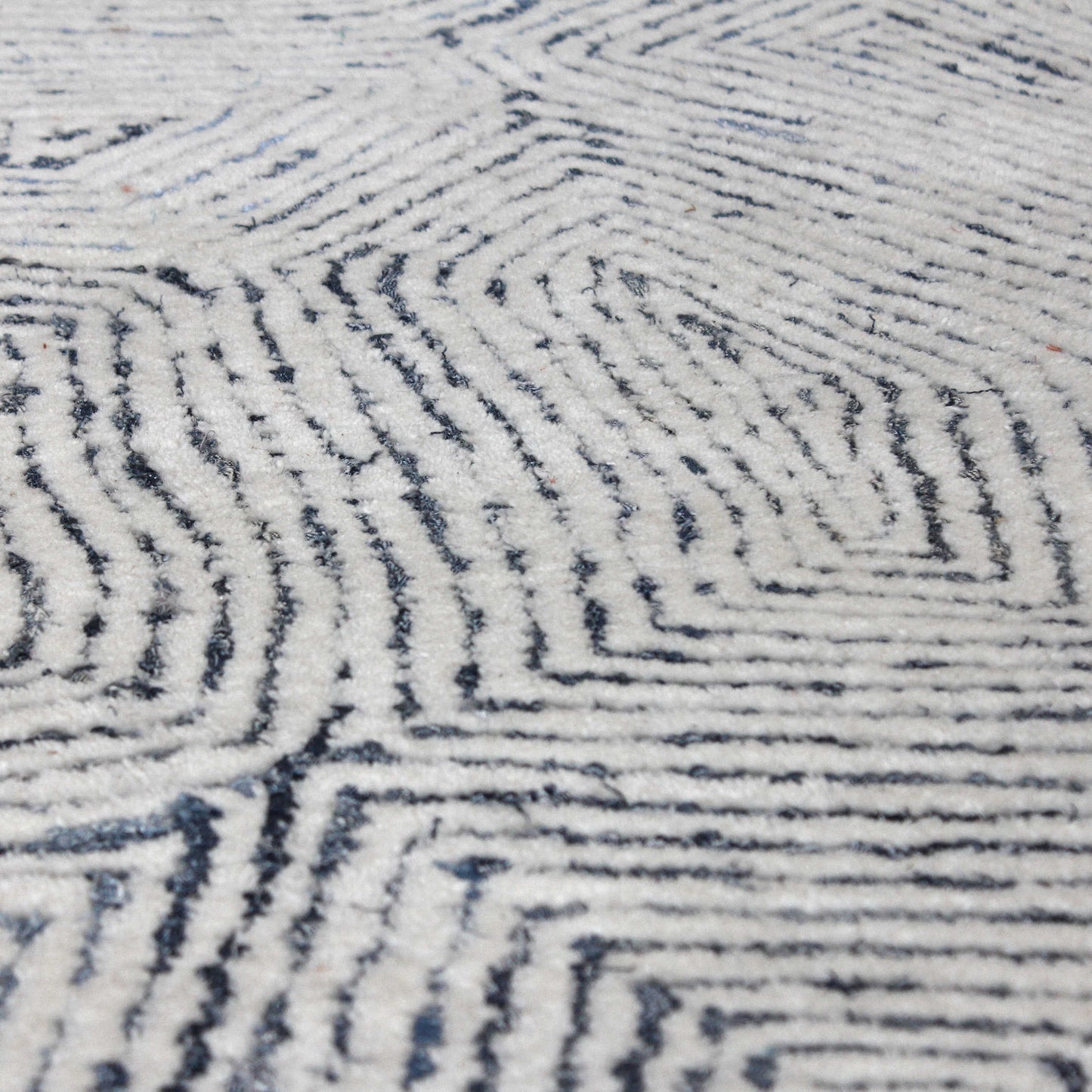 Patterned Blue Rug.