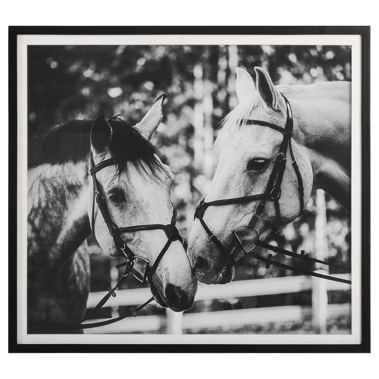 Horses art photography.