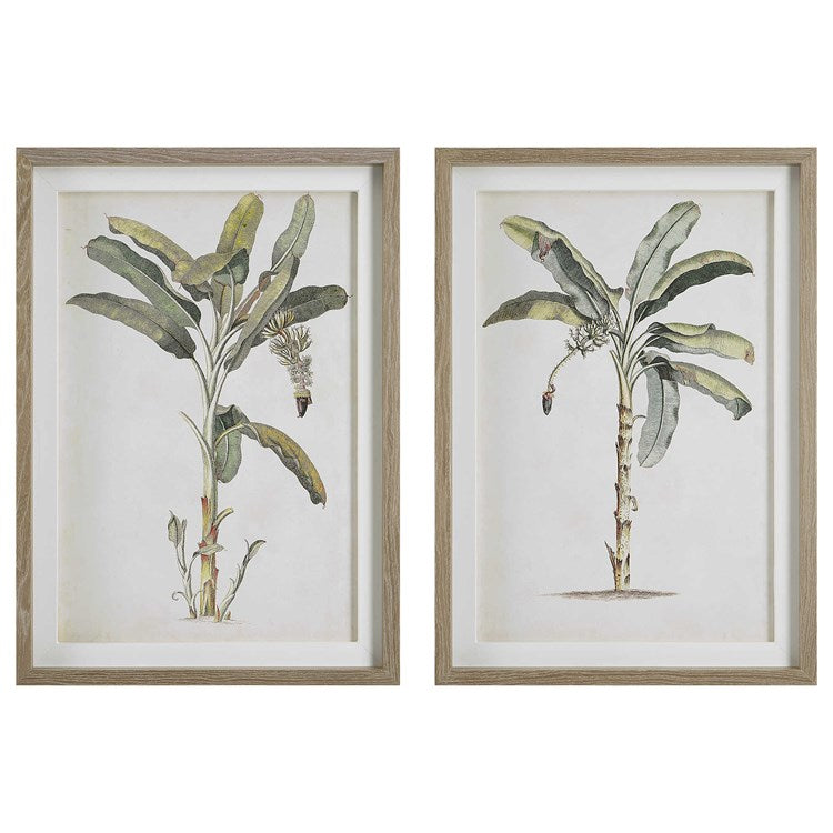 Pair of prints against white background.