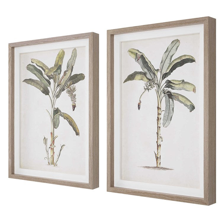 Pair of prints against white background on an angle