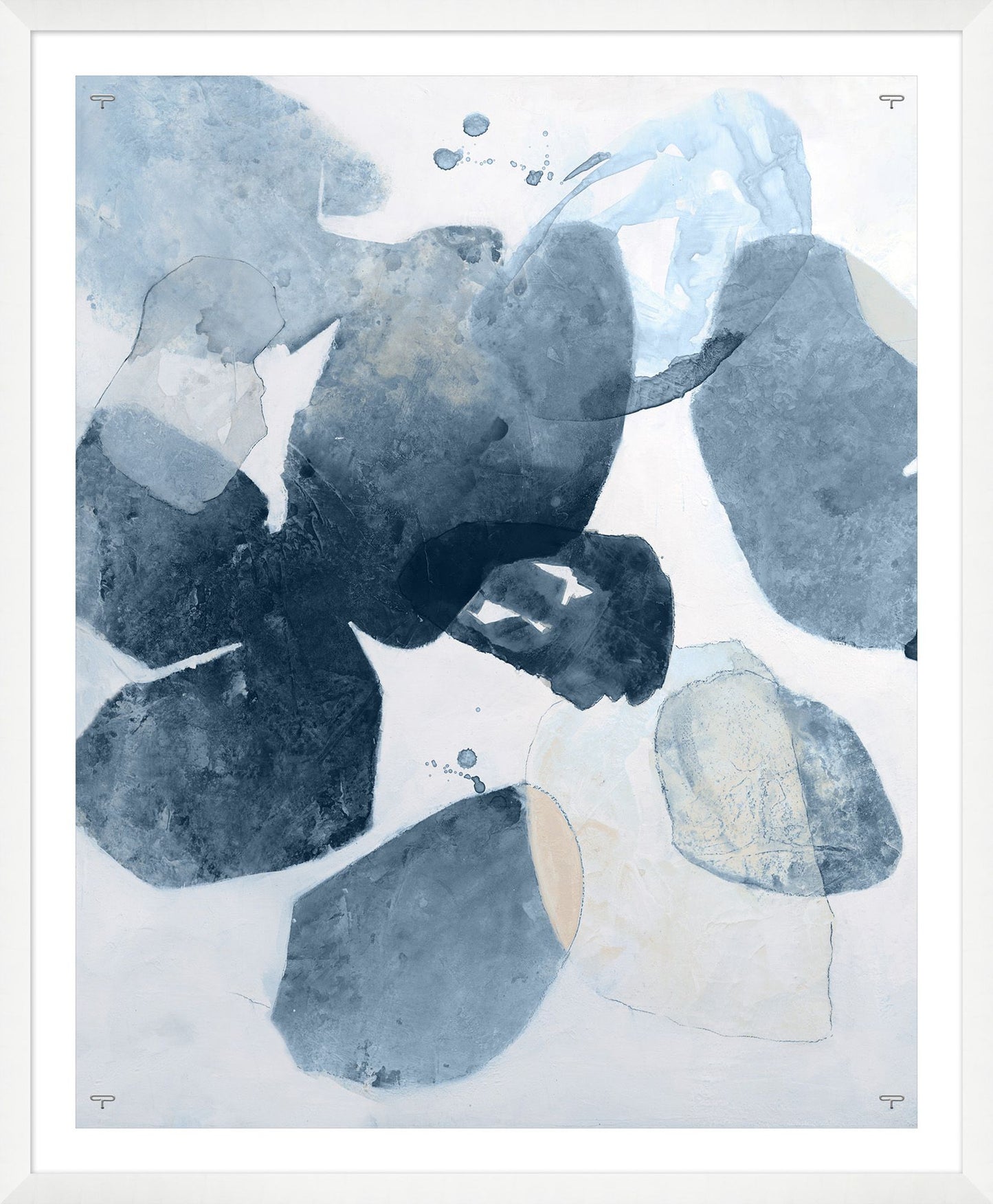 Lichens in sea