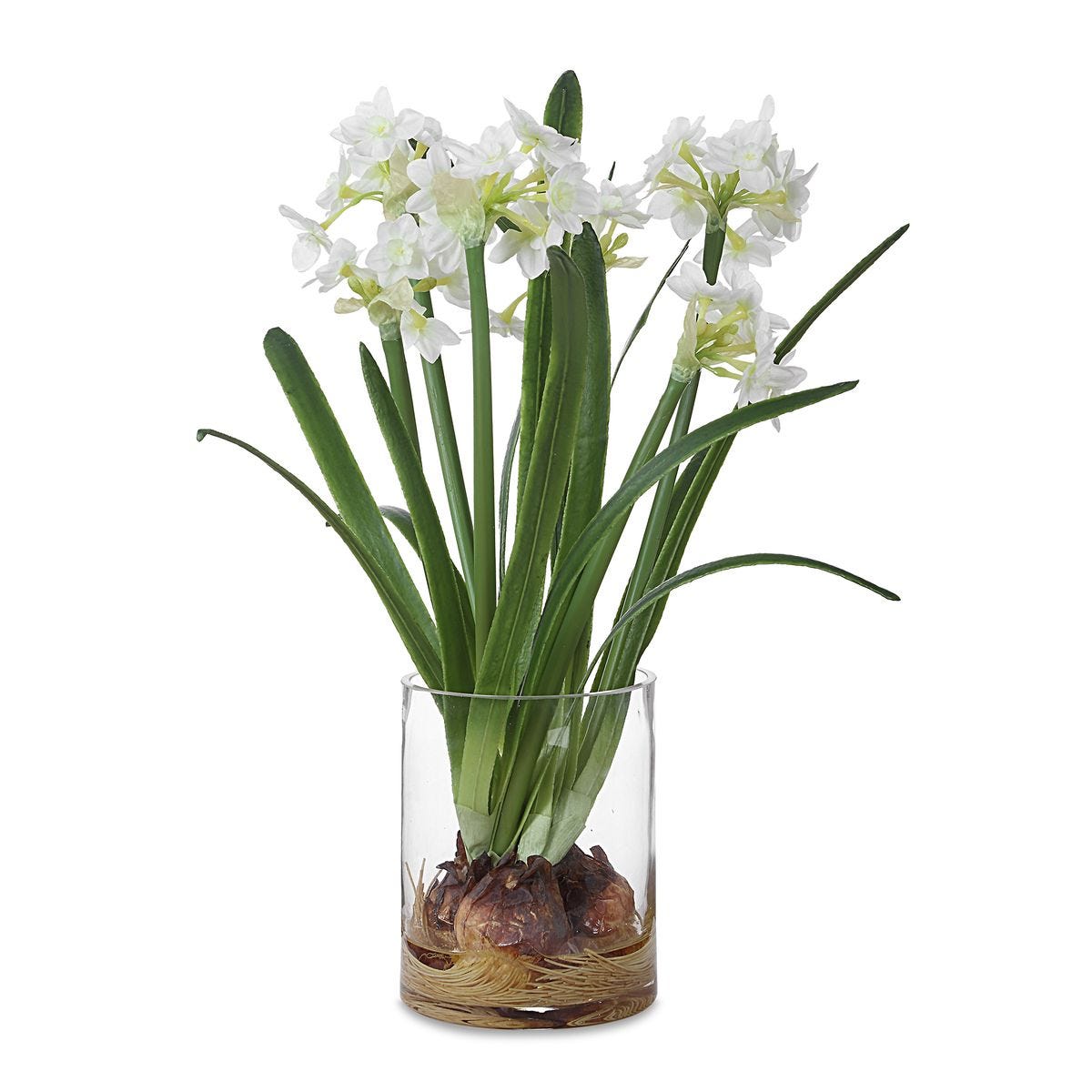 Botanical