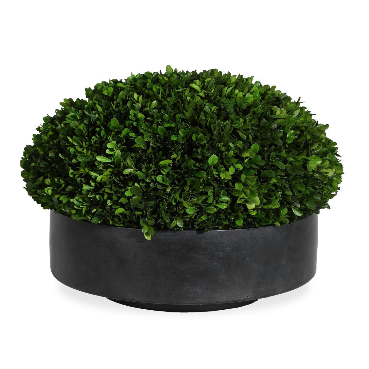 Faux Boxwood Sphere