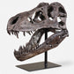 Tyrannosaurus Skull Sculpture