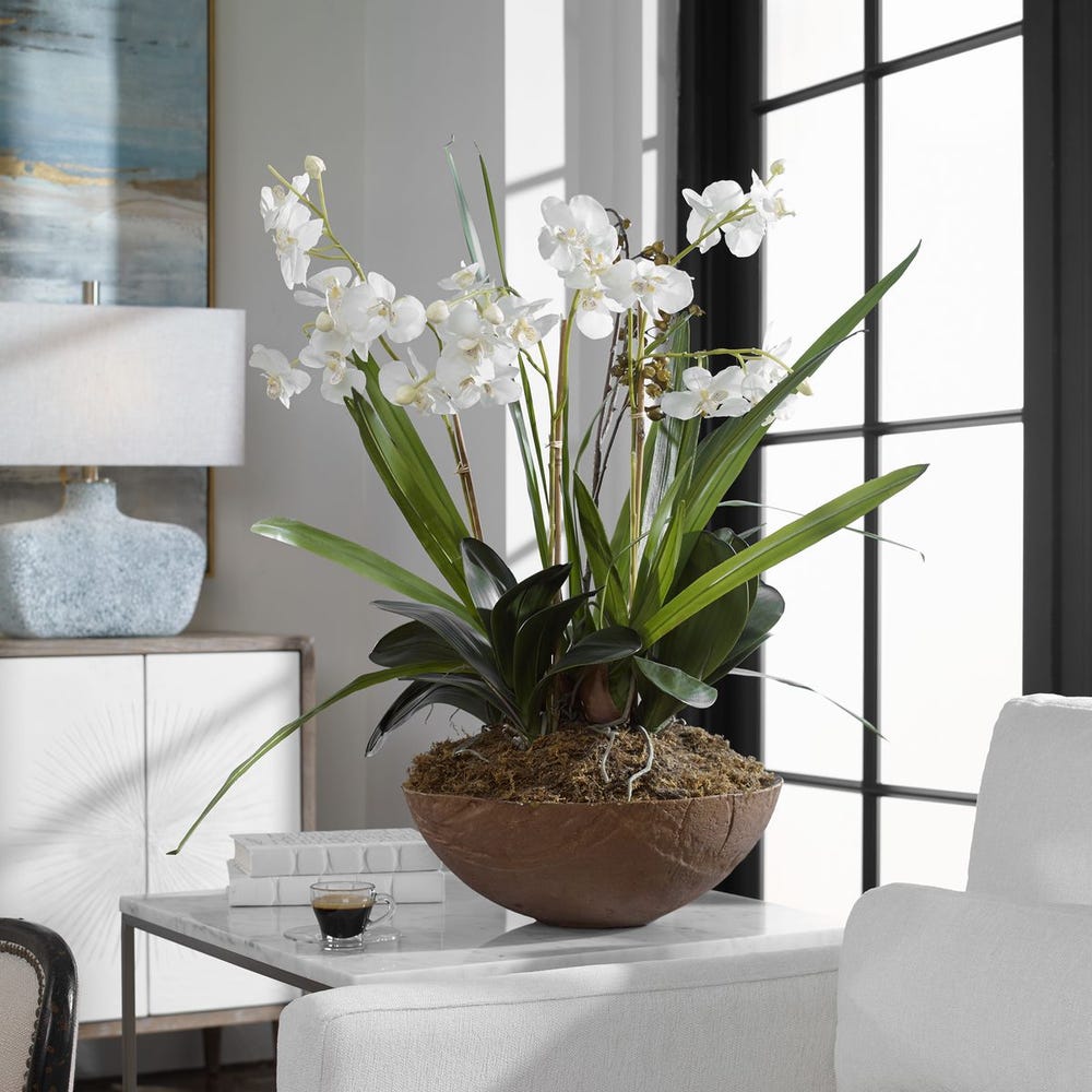 Roth Orchid Planter