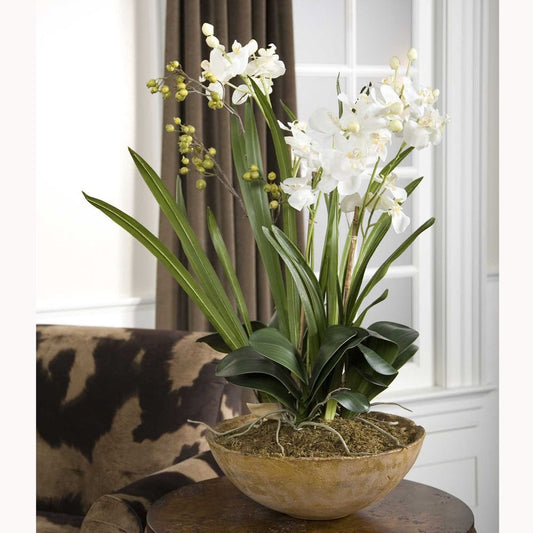Roth Orchid Planter