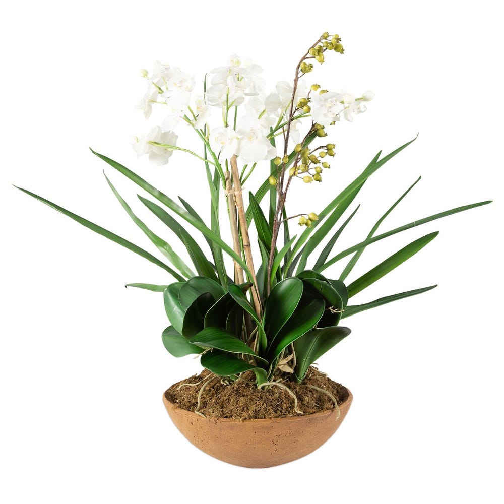 Roth Orchid Planter