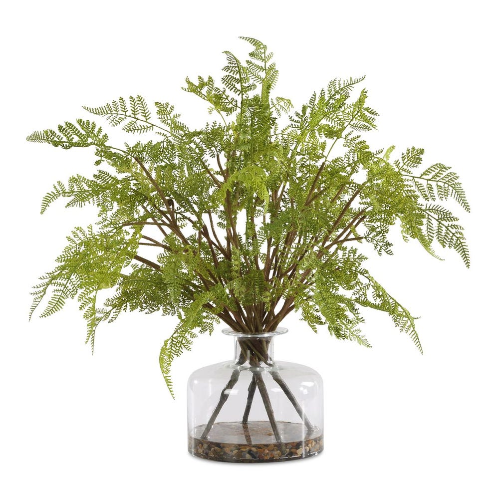 Fern serenity in glass