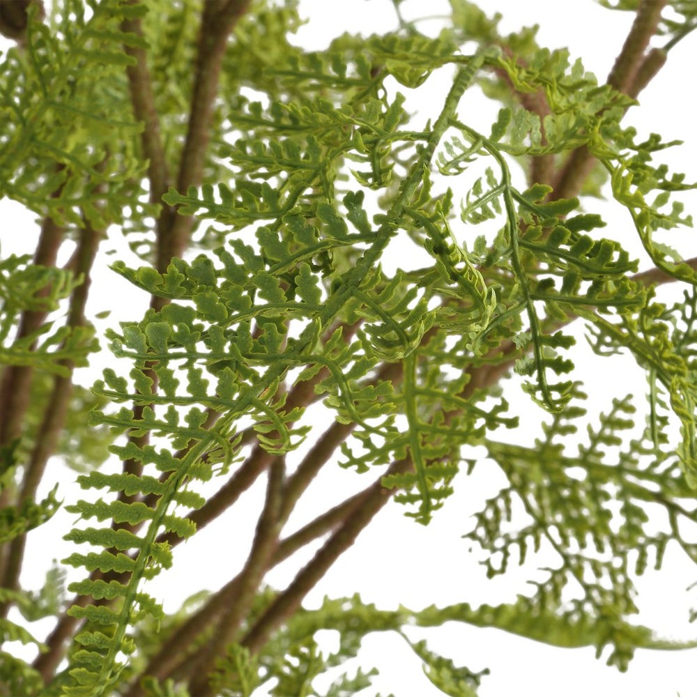 Fern serenity in glass