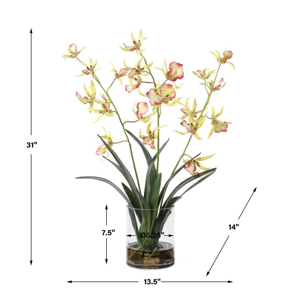 Coral & Yellow Spider Orchid