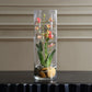 Pink Faux Orchid Arrangement in Glass Vase, 14 Inch