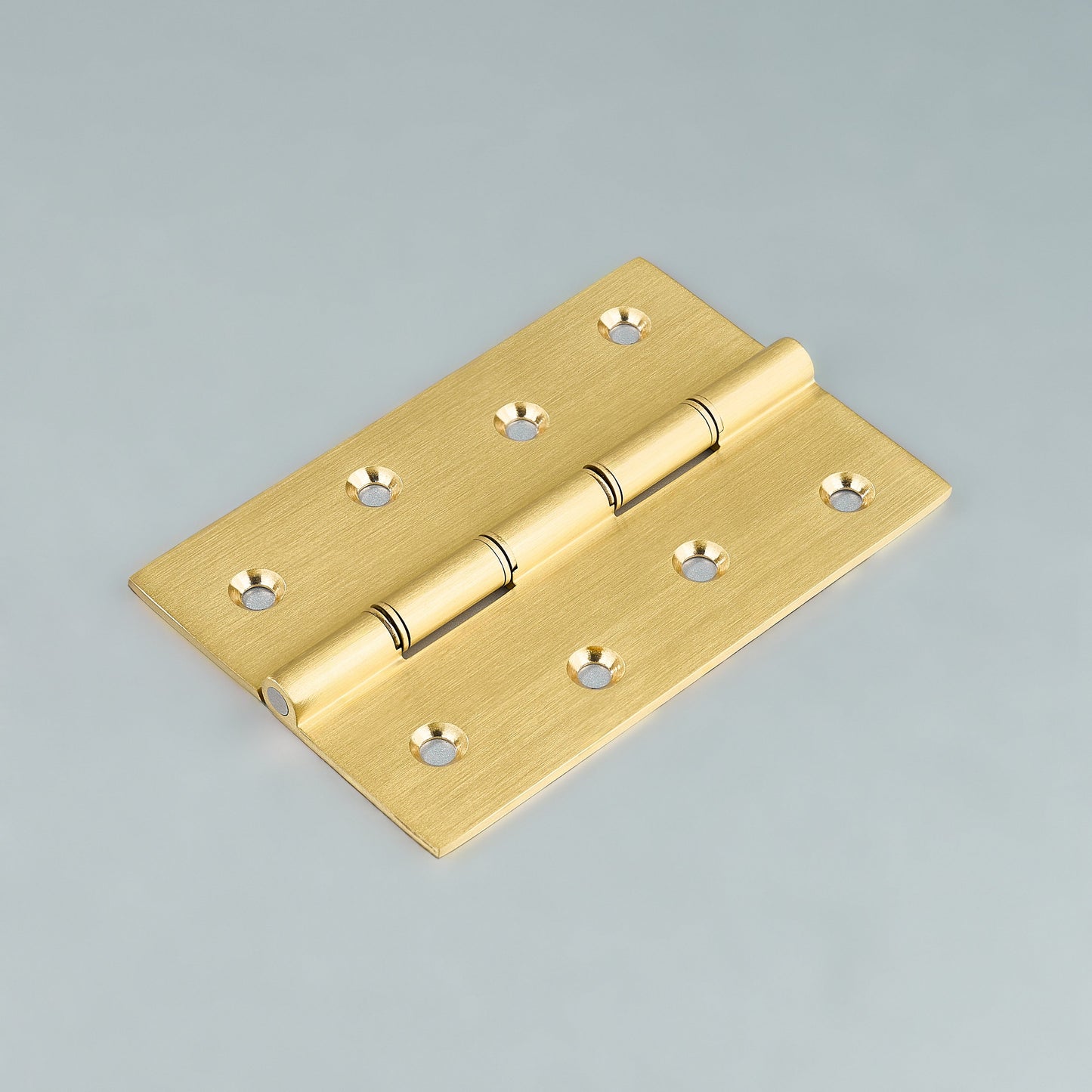 Neptune Washer Cabinet Hinge