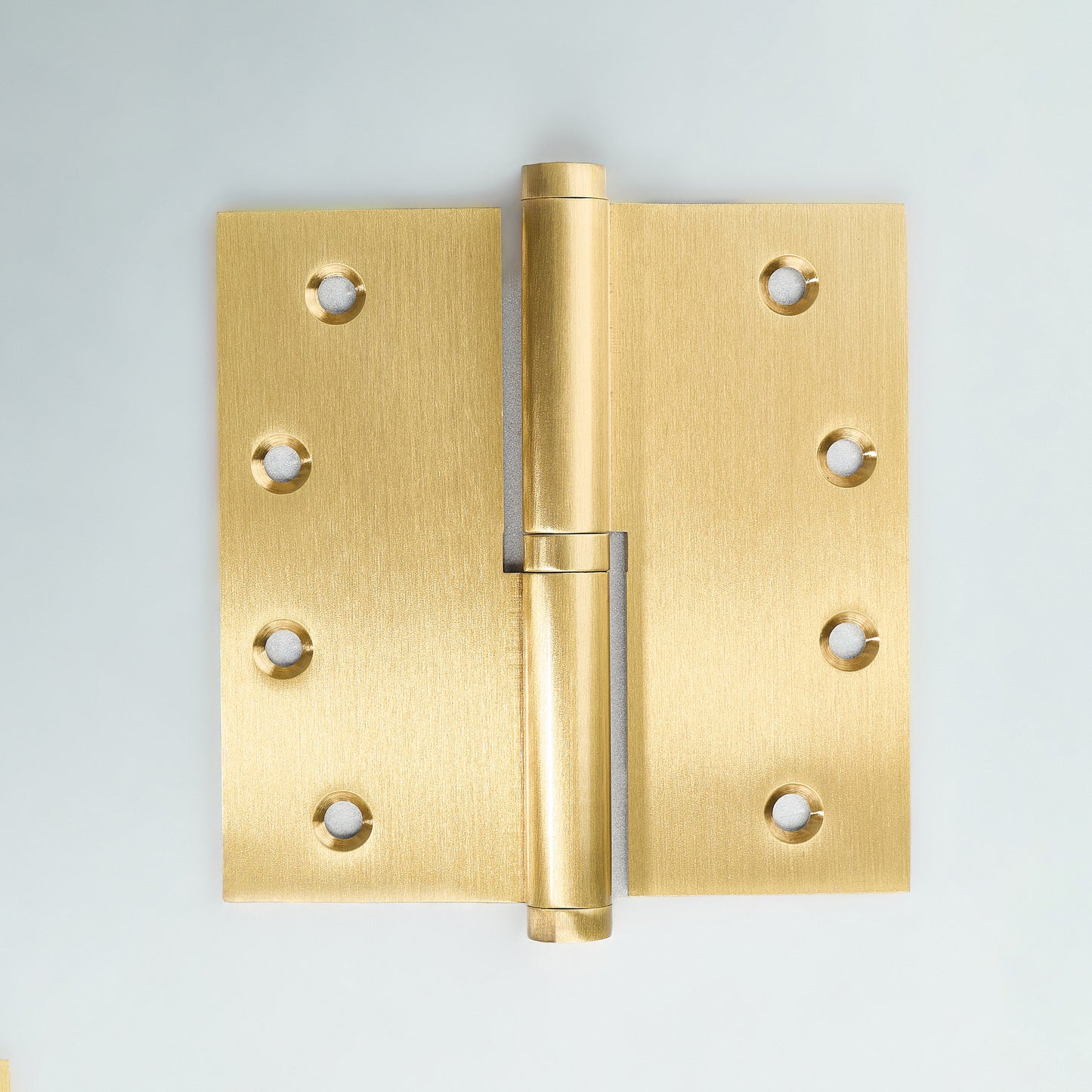 Apollo Lift-Off Door Hinge