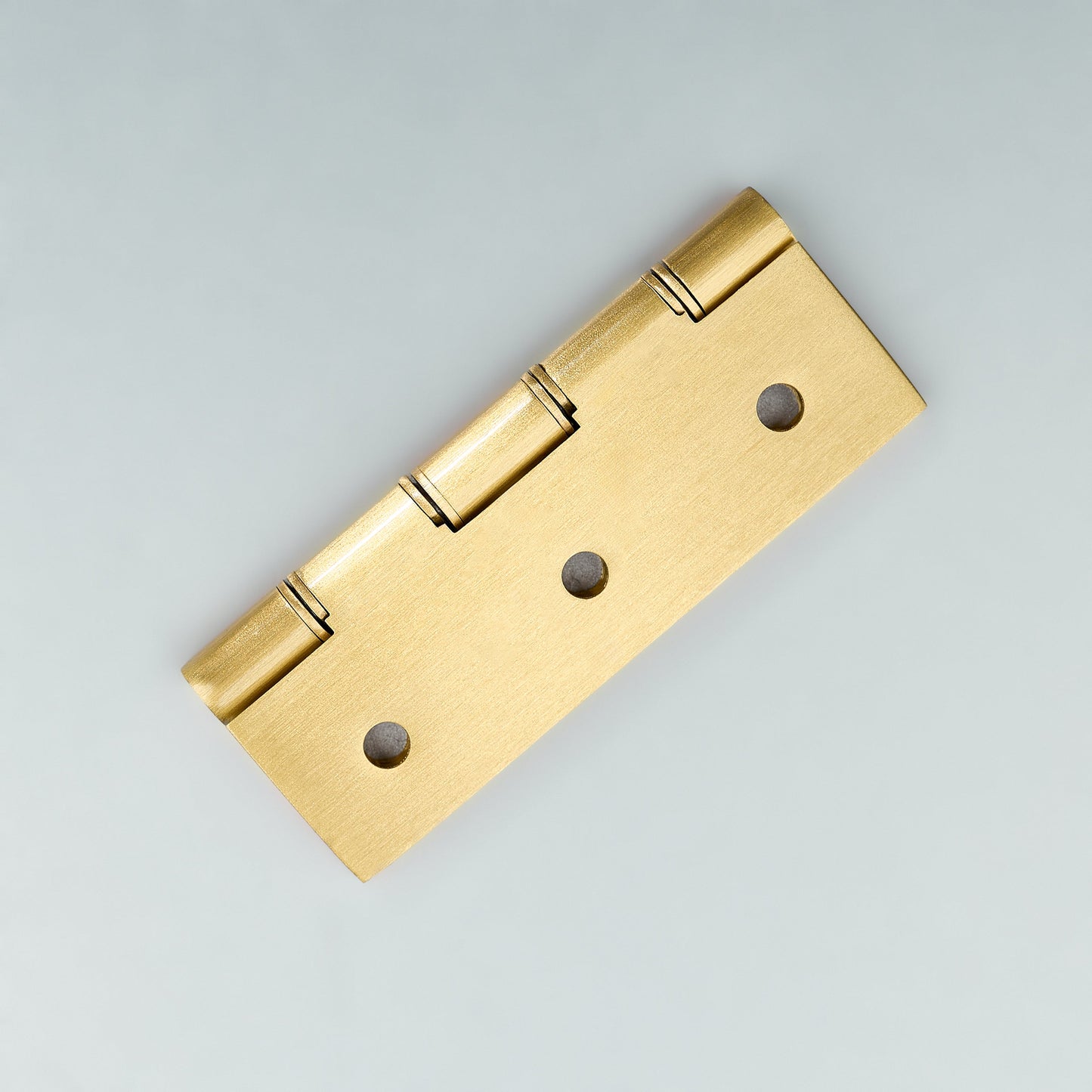 Neptune Washer Cabinet Hinge