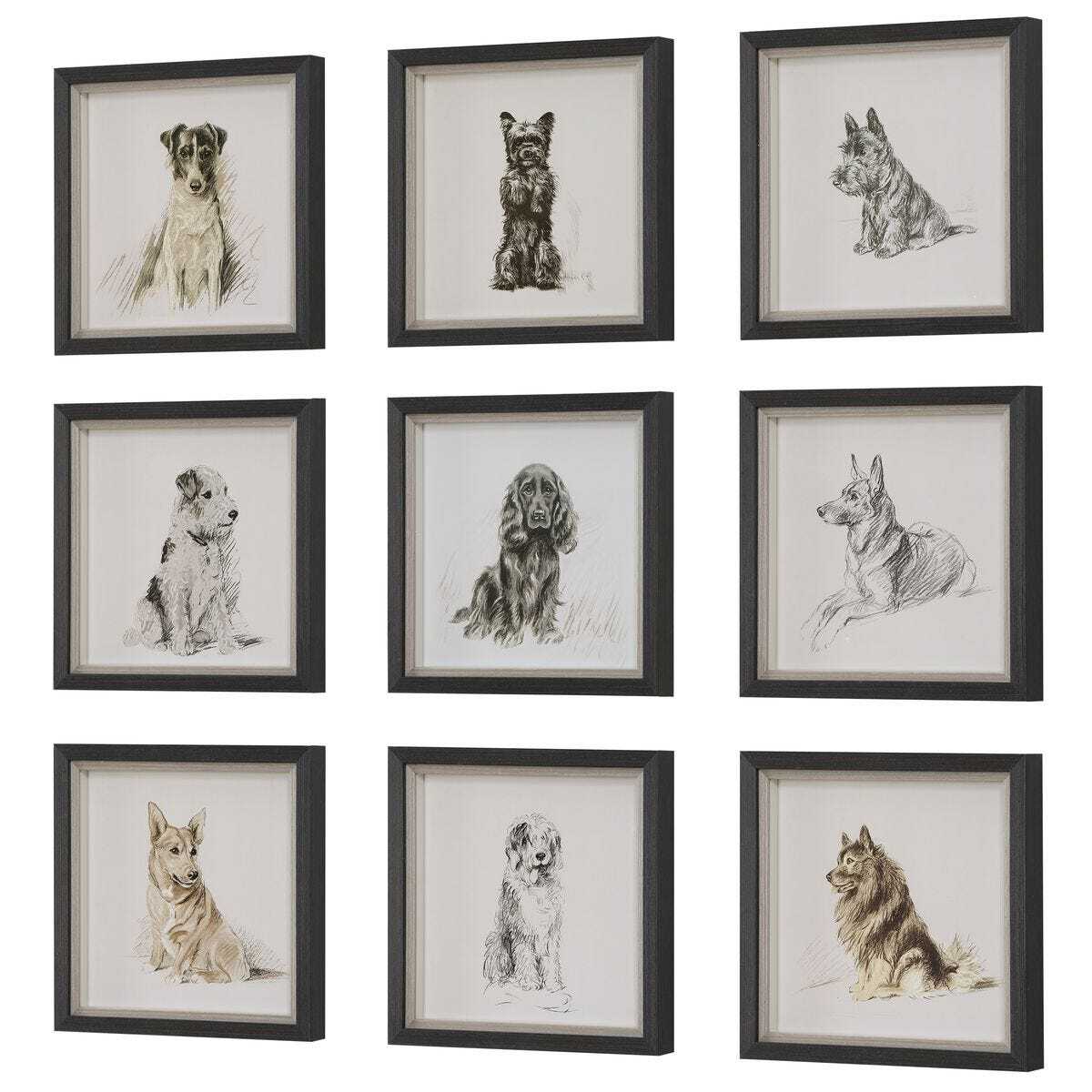 Set of framed black and white dog portraits on a white background