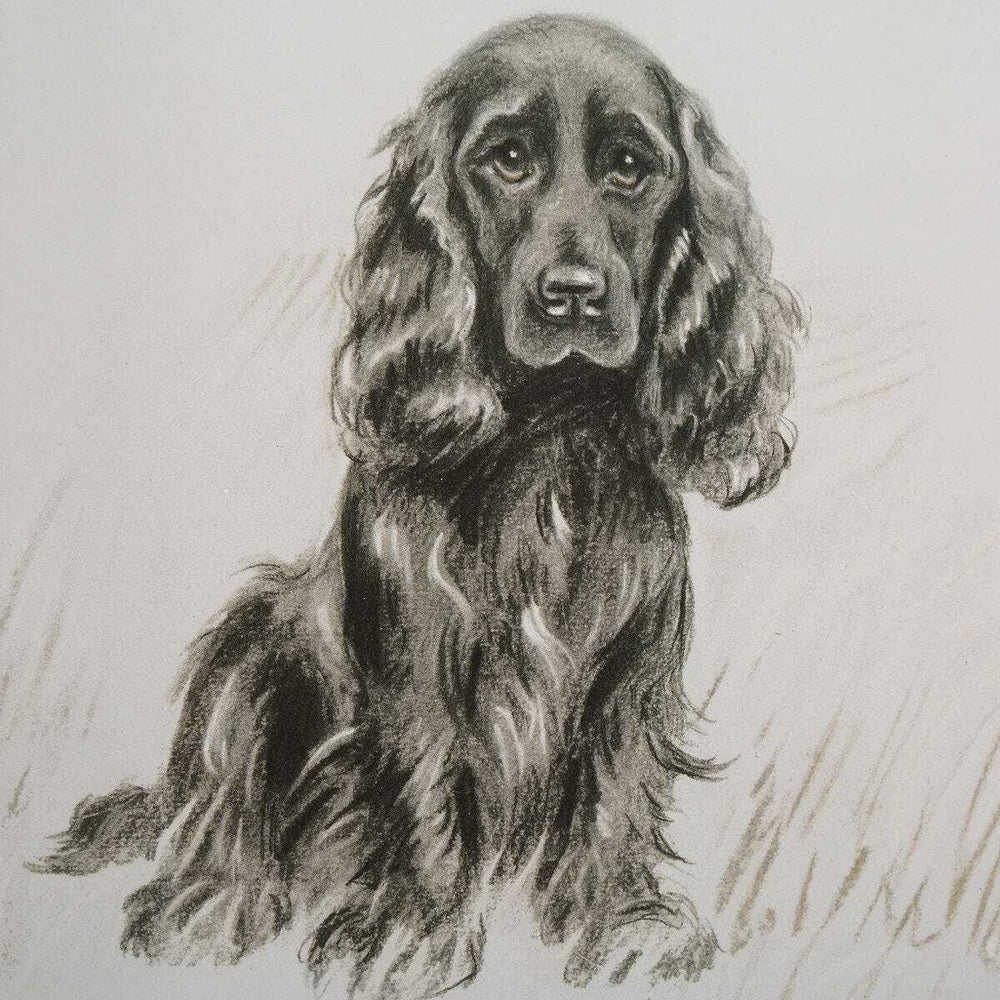 Detailed black and white drawing of a dog on a light background